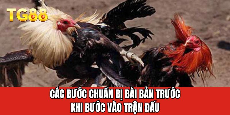 Các bước chuẩn bị bài bản trước khi bước vào trận đấu