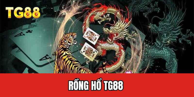 Rồng Hổ TG88
