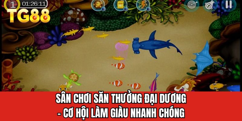 Sân chơi săn thưởng đại dương - Cơ hội làm giàu nhanh chóng