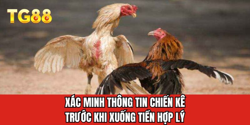 Xác minh thông tin chiến kê trước khi xuống tiền hợp lý